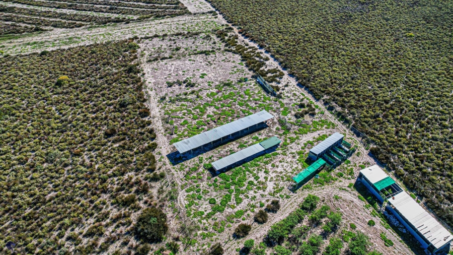 Commercial Property for Sale in Hartebeesfontein Western Cape